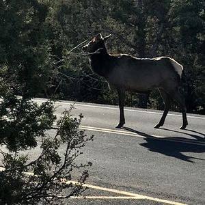 Meet your Posher, Jody